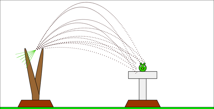 Angry Birds – Mátyus Botond